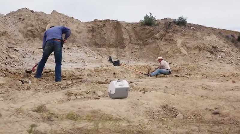 Narrator: AFTER SEVERAL DAYS OF DIGGING ON A DUCKBILL SITE
