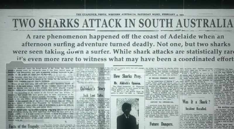 NARRATOR: All up, at least seven reported attacks