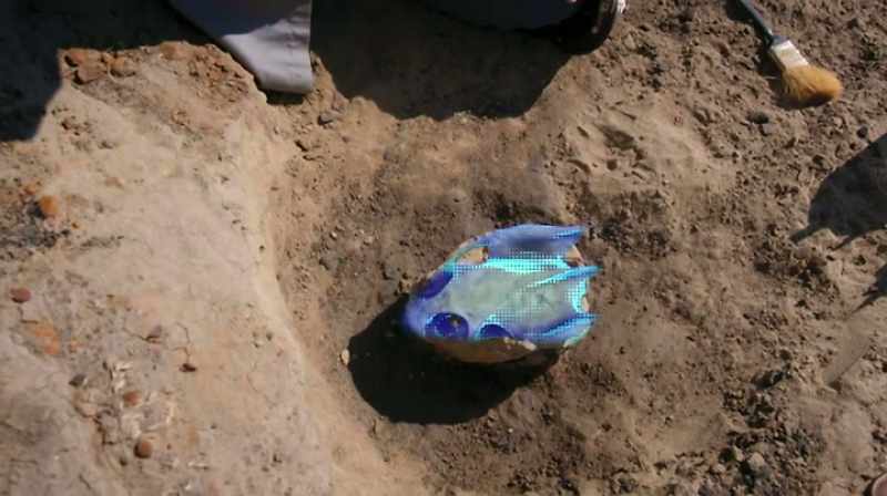 Narrator: ANCIENT TURTLES HAD ALREADY BEEN AROUND