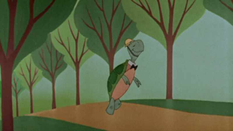 Narrator: AND BERT THE TURTLE PREPARES EVERYONE
