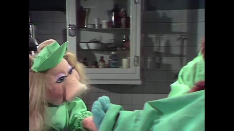 NARRATOR And now Veterinarian's Hospital
