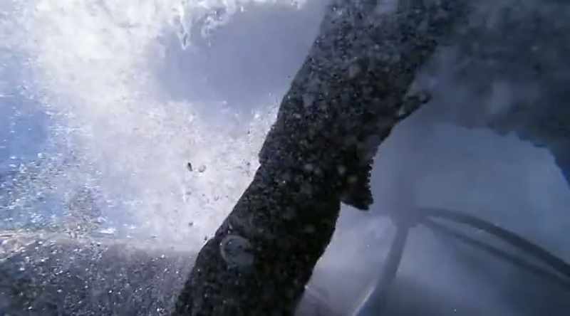 NARRATOR: And what we can do to keep sharks safe and at bay
