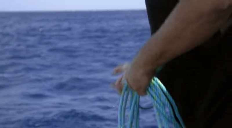 NARRATOR: Andrew Fox has been running cage-diving tours