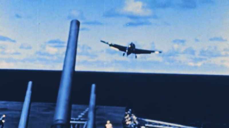NARRATOR: Another type of carrier