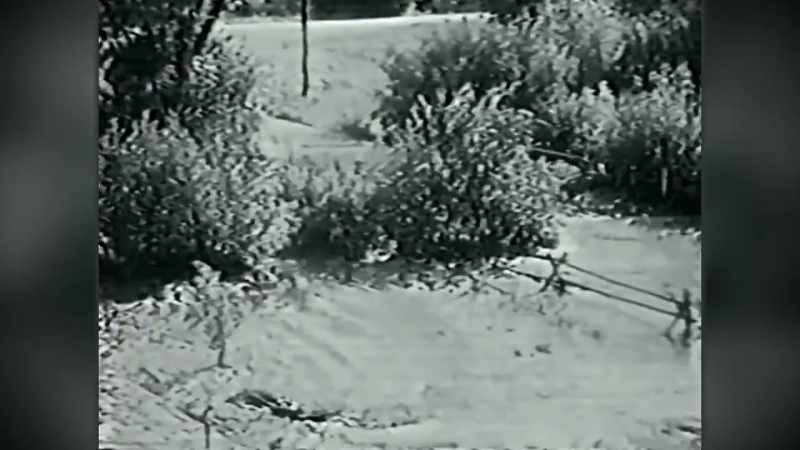 NARRATOR: As this grainy camcorder footage shows