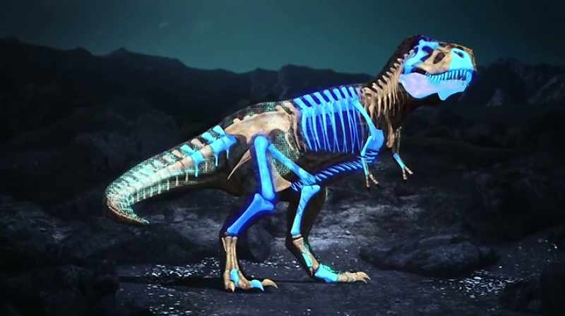 Narrator: BUT HE'LL NEED MORE THAN THESE 41 BONES