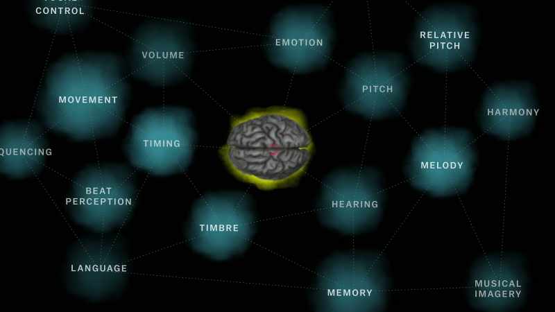 [narrator] But the higher levels of processing