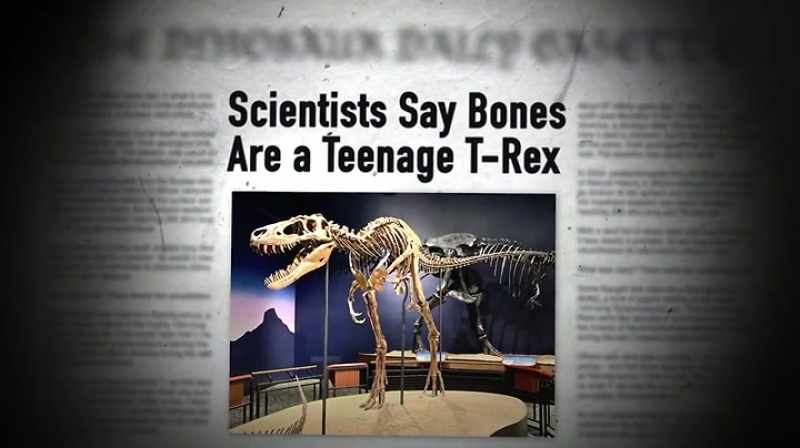 Narrator: BUT THOSE SCIENTISTS WHO DO ARGUE