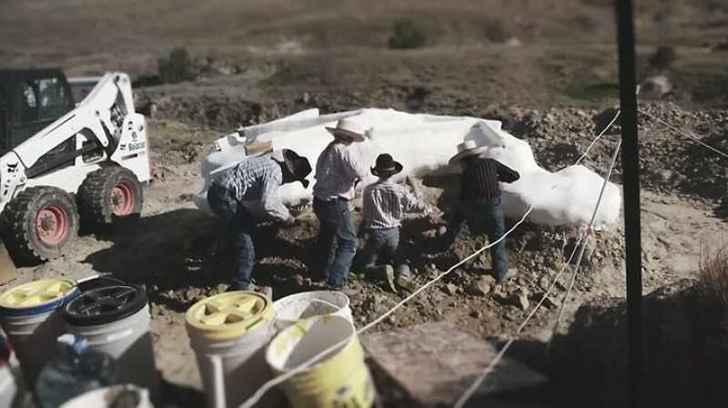 Narrator: CLAYTON HAS SPENT WEEKS EXCAVATING THE FOSSIL