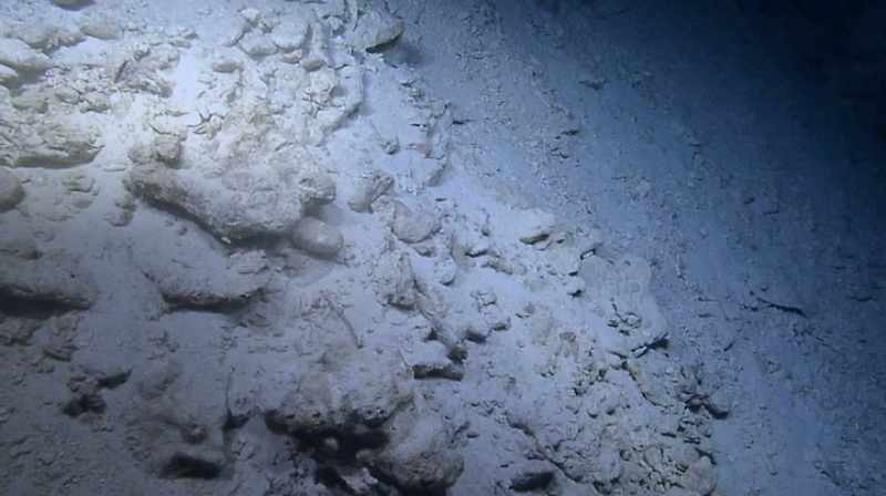 Narrator: Coral everywhere, but not a plane part in sight