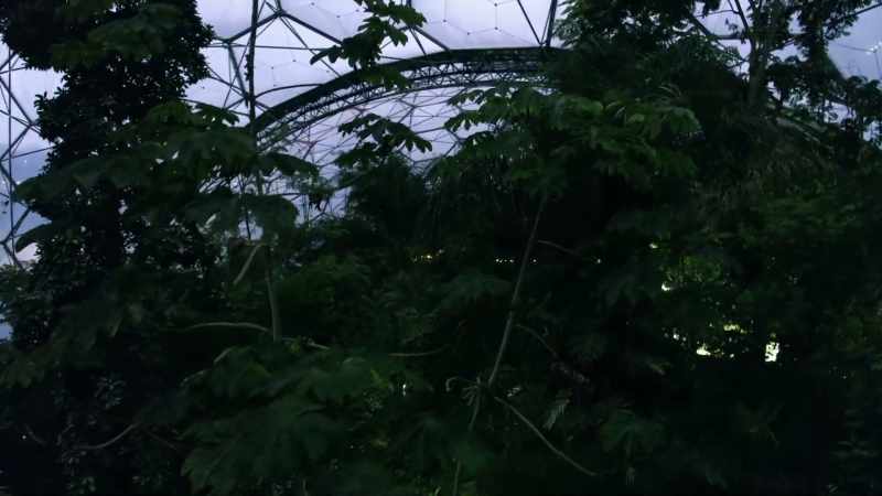 NARRATOR: Designers created the Eden Project