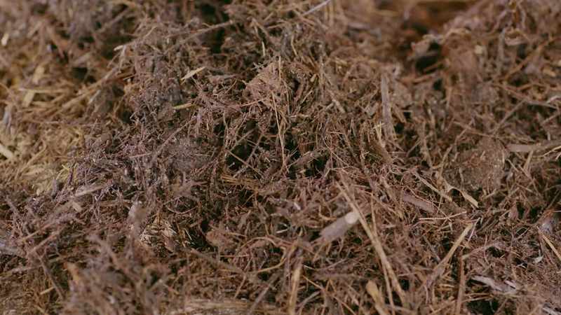 [narrator] Even though it's organic matter