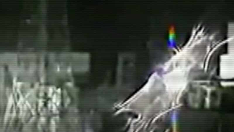 Narrator: EXPERTS INVESTIGATE IF A CAMERA HAS CAPTURED A MUTANT ENTITY
