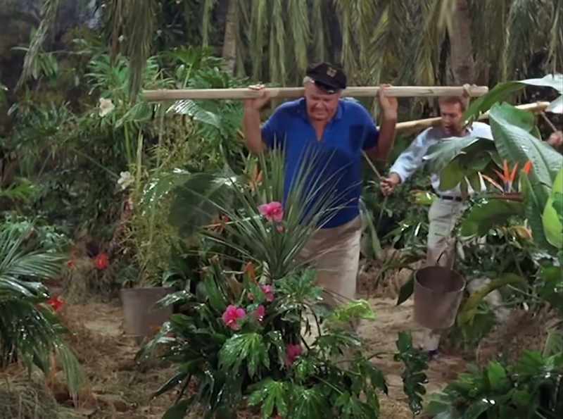[Narrator] Gilligan's island played