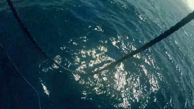 NARRATOR: He picks up the harpoon