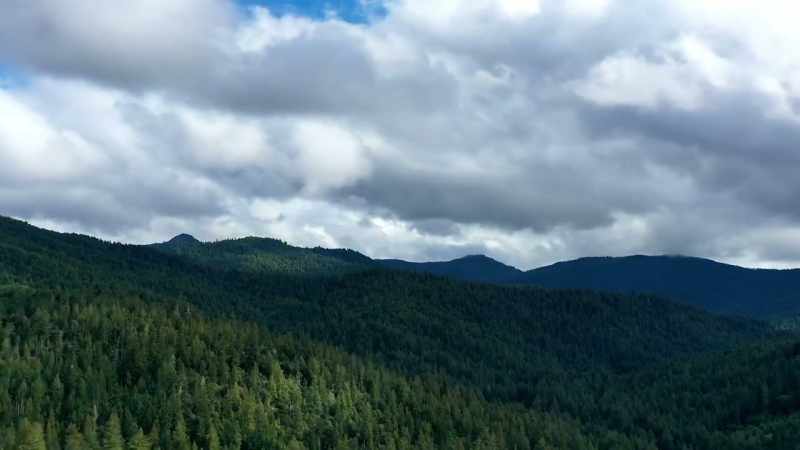 [narrator] humboldt county alone has had over
