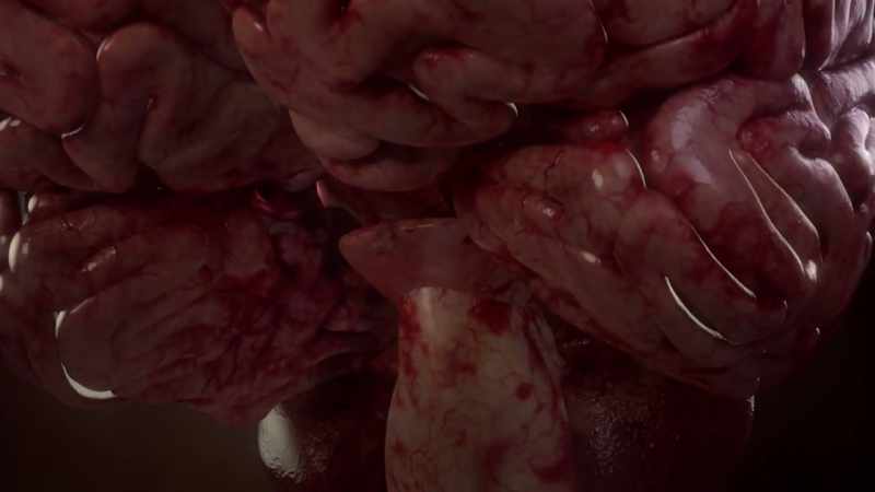 [narrator] Inside the brain