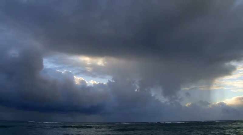 NARRATOR: It appears that warming oceans may be causing