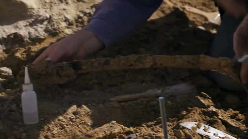 Narrator: IT'S EXTREMELY RARE TO FIND A LONG, THIN BONE
