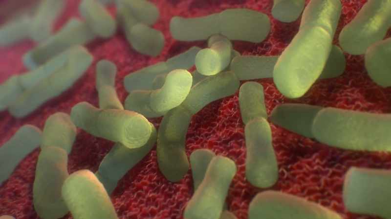 [narrator] It's like a microbial impression of your past and present