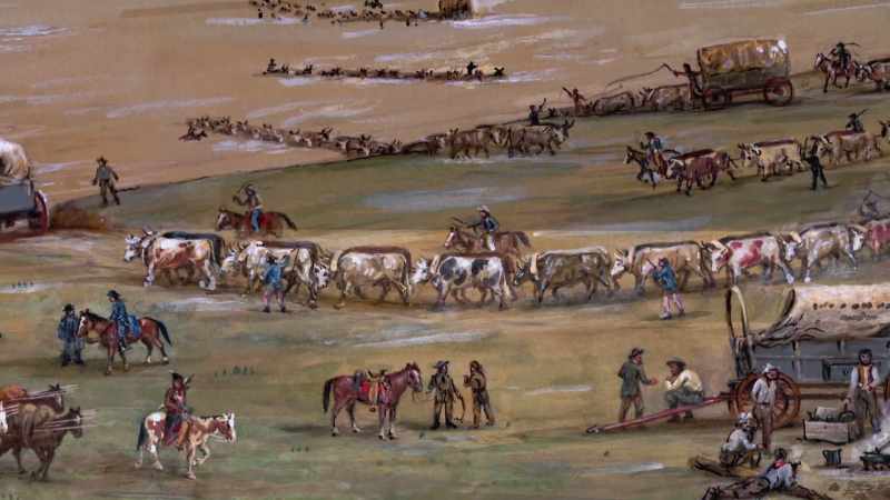 Narrator: More than a million cattle and sheep