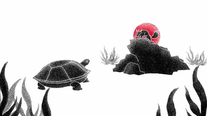 [narrator] One day, Mr. Turtle and Mr. Fox met in the forest
