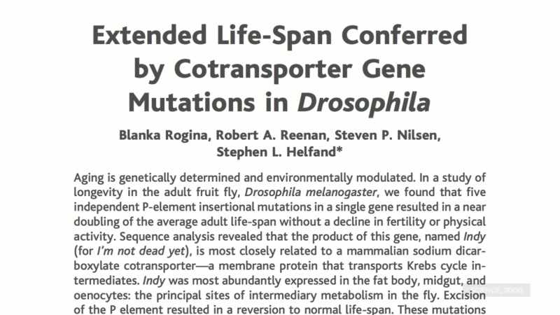 [narrator] Scientist mutated the same gene in fruit flies