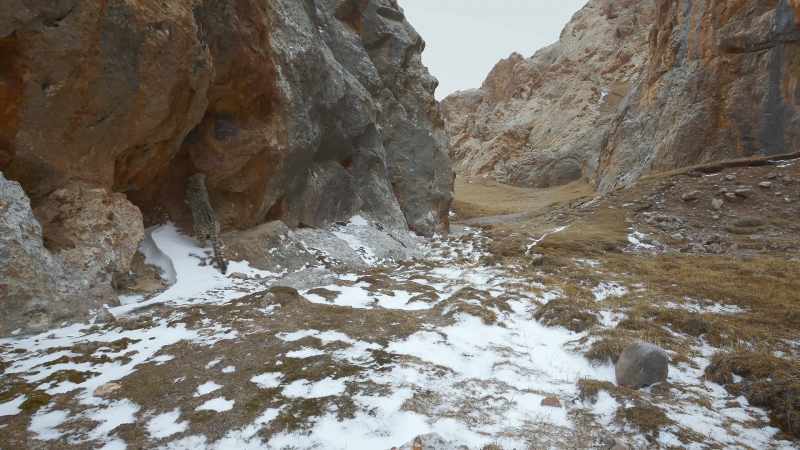 NARRATOR: Snow leopards are mainly solitary creatures