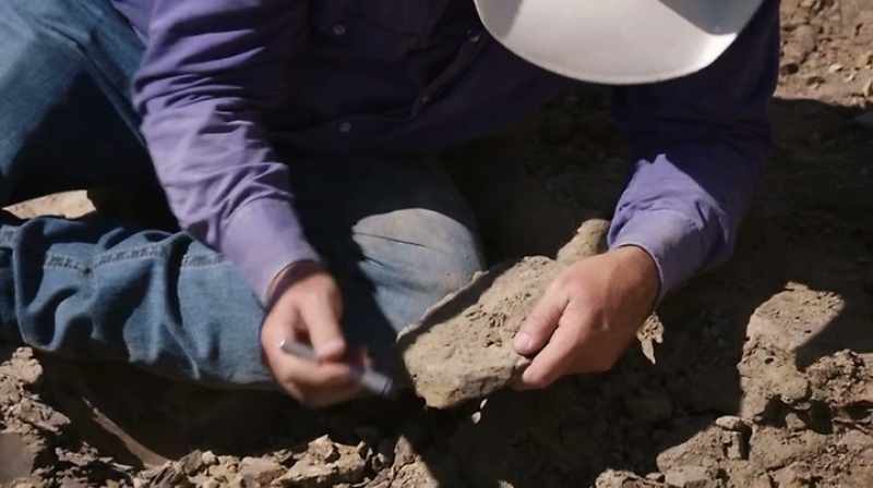 Narrator: SO FAR, THEY'VE RECOVERED 27 FOSSILS