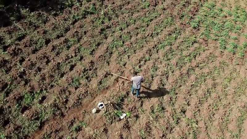 [narrator] So, how do we restore a landscape that's been damaged?