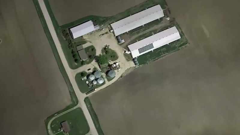NARRATOR: Still, given the layout of the farm yard