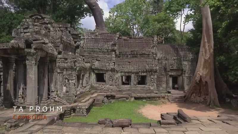 [narrator] Ta Prohm, Cambodia