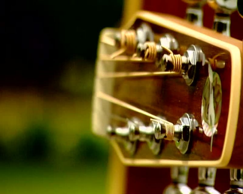 Narrator: THE BEST GUITARS COME FROM TREES ABOUT 800 YEARS OLD