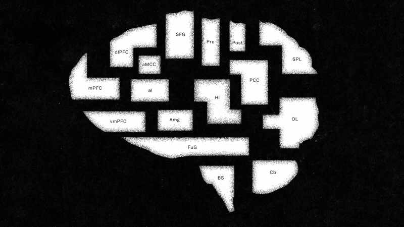 [narrator] The brain circuitry responsible