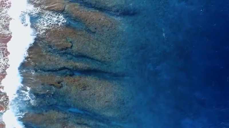Narrator: The drones' high-resolution cameras can image from the reef to several