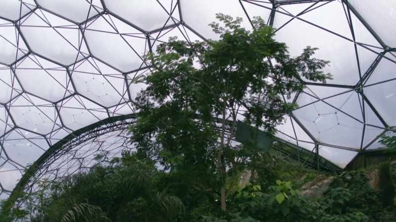 NARRATOR: The Eden Project's canopy is growing so quickly