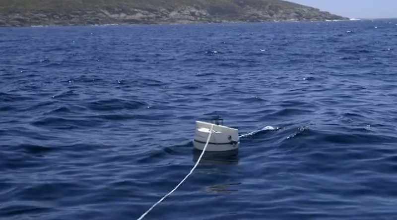 NARRATOR: The first thing they'll need to test the deterrent, sharks