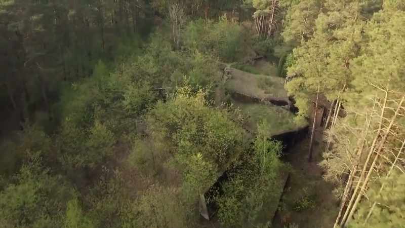 Narrator: The forest camouflage would be effective