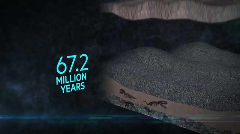 Narrator: THE FOSSIL-RICH EARTH