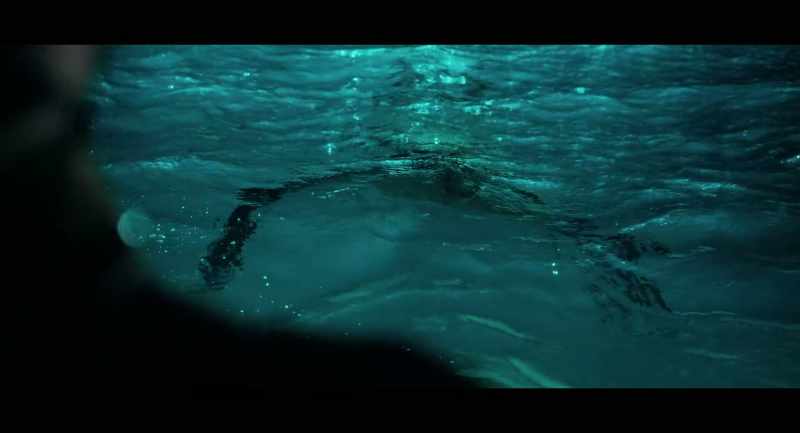 NARRATOR: The ocean