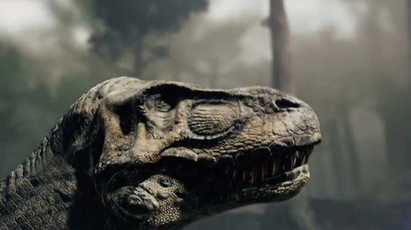 Narrator: THE TYRANNOSAURUS REX HAD THE LARGEST TEETH