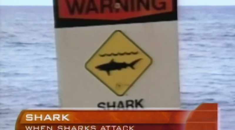 NARRATOR: These shark attacks quickly hit the news