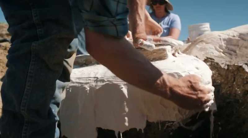 Narrator: THEY'LL SLOWLY SCRAPE AWAY THE DIRT