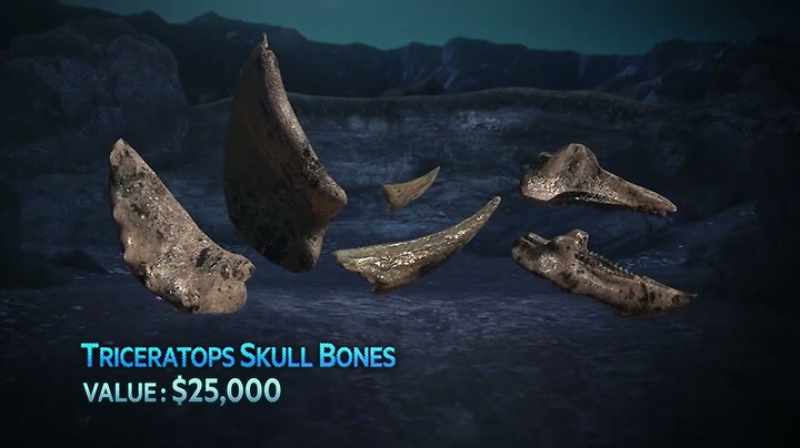 Narrator: THIS HORN, PLUS THE OTHER BONES FROM THE SITE