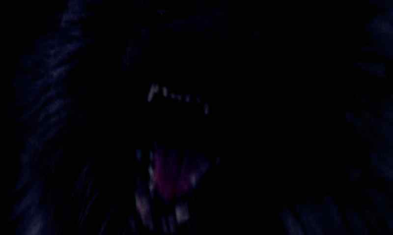 (Narrator) This is the werewolf break