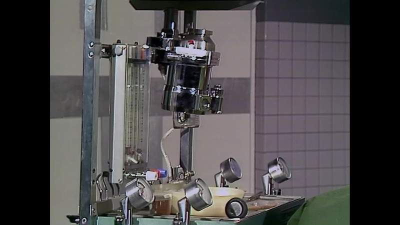 NARRATOR Time once again for Veterinarian's Hospital