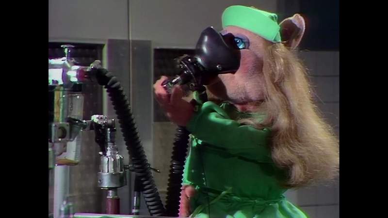 NARRATOR Time now for Veterinarian's Hospital
