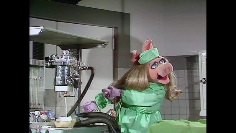 NARRATOR Time now for Veterinarian's Hospital