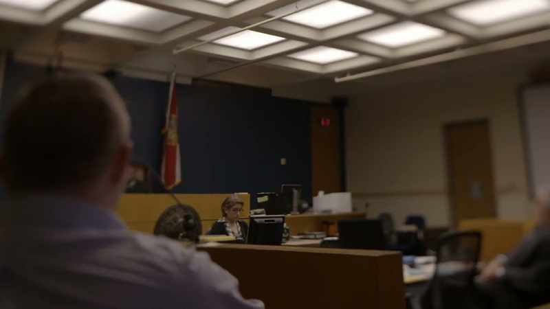 NARRATOR: To help the jury visualize