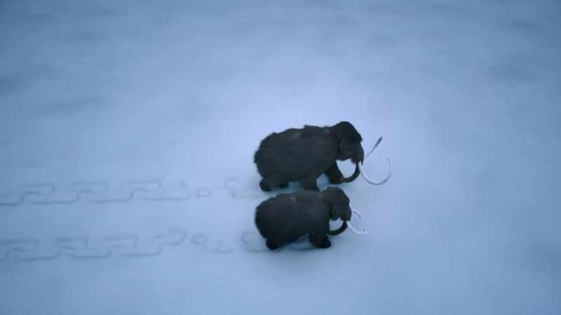 NARRATOR: Whether or not mammoths are out there